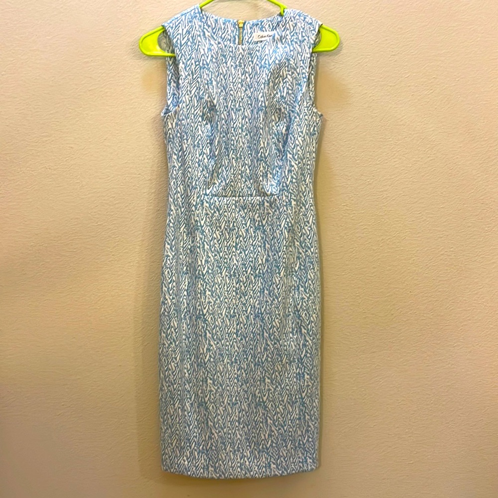 Blue & White Calvin Klein Dress